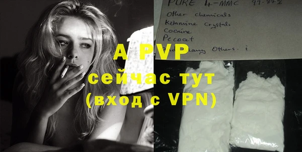дмт Апатиты