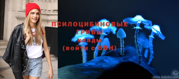 ALPHA PVP Каменск-Шахтинский