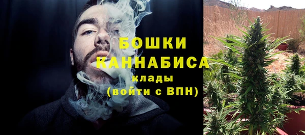 Альфа ПВП Каменка