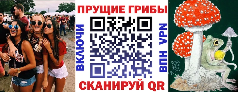 Галлюциногенные грибы ЛСД  Купить где  Игарка 